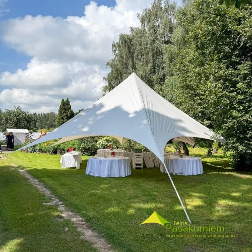 Zvaigzne balta (gaiši pelēka)